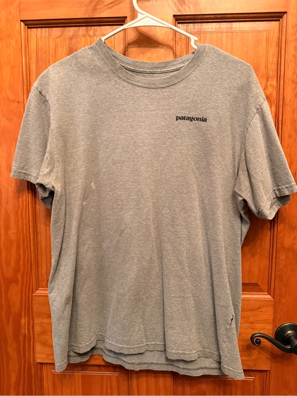 Patagonia Gray Short Sleeve Crewneck Tee with Chest Logo